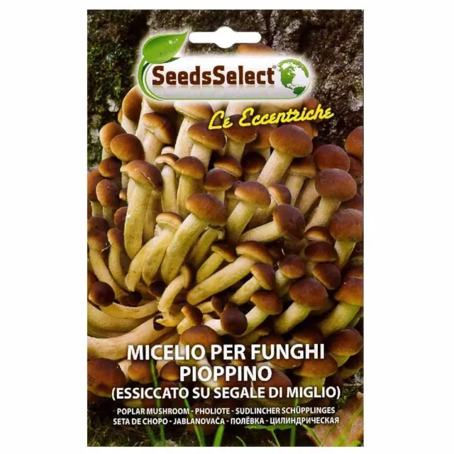 AgroLife Pioppino μυκήλιο μανιταριών 25gr λεύκας