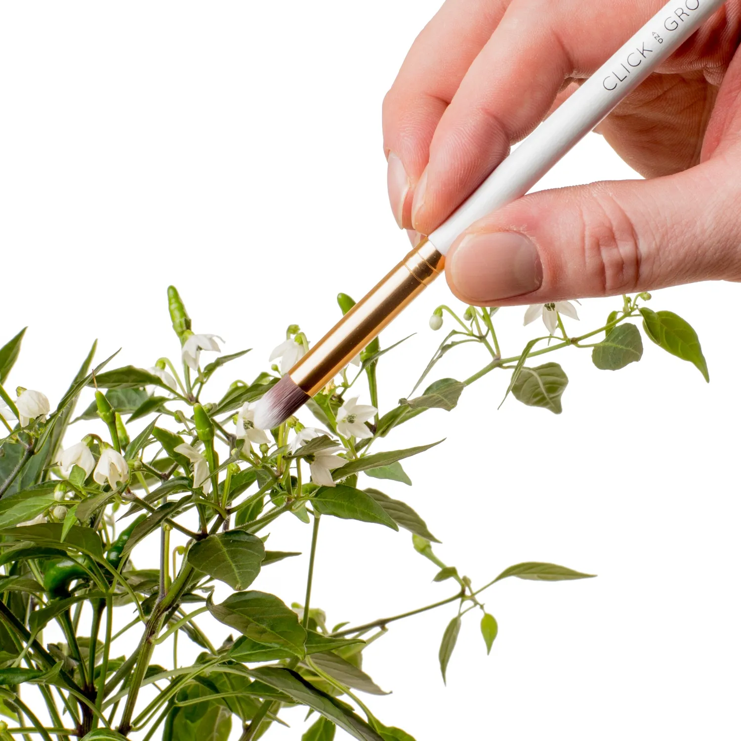 Click and Grow Pollination Brush βουρτσάκι επικονίασης