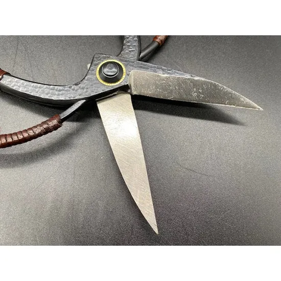 Tanabe ψαλίδι κήπου rattan μακριά λεπίδα 210mm