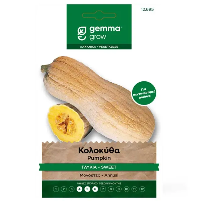 MyAgroMarket Κολοκύθα Butternut Γλυκιά σπόροι 4gr
