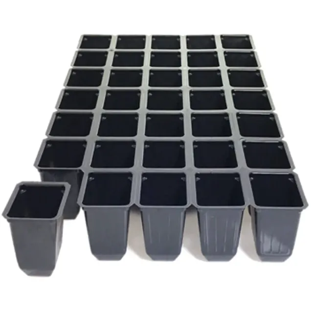 MyAgroMarket Δίσκος σποράς πλαστικός 35 θέσεων 5x5
