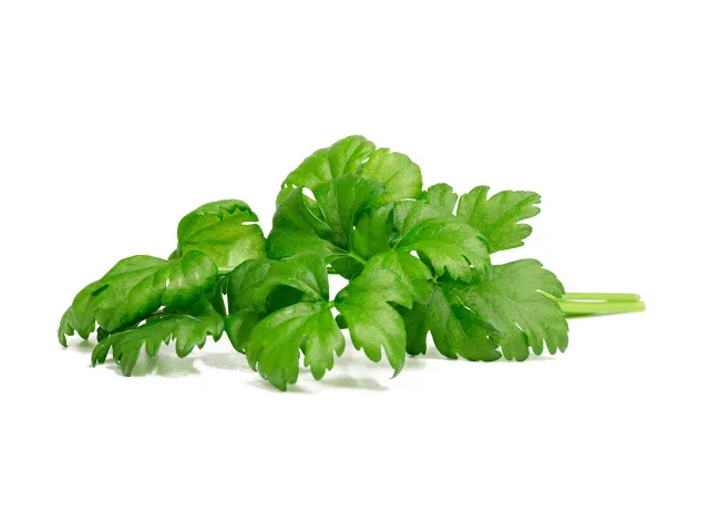 Click and Grow Σέλινο κάψουλες φυτών 3 τεμαχίων φυλλώδες