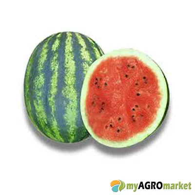 MyAgroMarket Early Crimara F1 σπόροι καρπουζιού 10 σπόροι μεσοπρώιμο