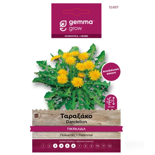 MyAgroMarket Ταράξακο Πικραλίδα σπόροι 0,3gr