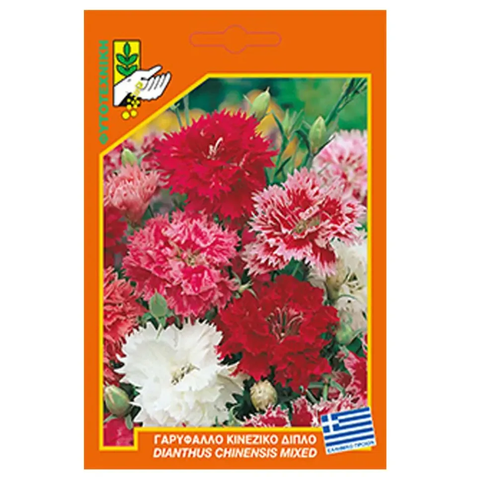 MyAgroMarket Γαρύφαλλο κινέζικο διπλό σπόροι