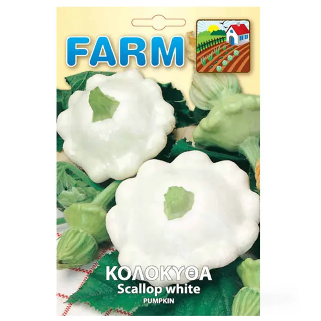 MyAgroMarket Κολοκύθα Άσπρη Scallop Σπόροι 1gr