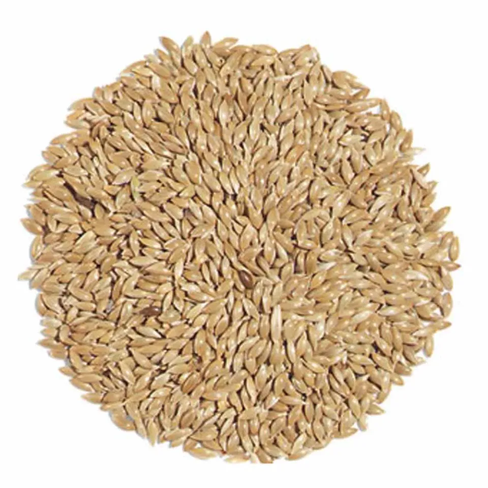MyAgroMarket Ασπούρι τροφή πουλιών 1kg χύμα