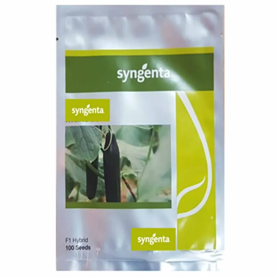 MyAgroMarket Proteas F1 σπόροι αγγουριού μακρύ