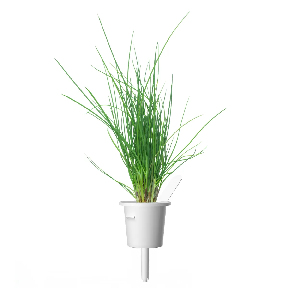 Click and Grow Chives κάψουλες φυτών 9-pack αρωματικές