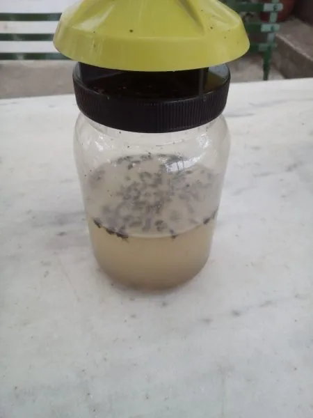 Fly Magnet Μυγοπαγίδα Εξωτερικού Χώρου με δόλωμα