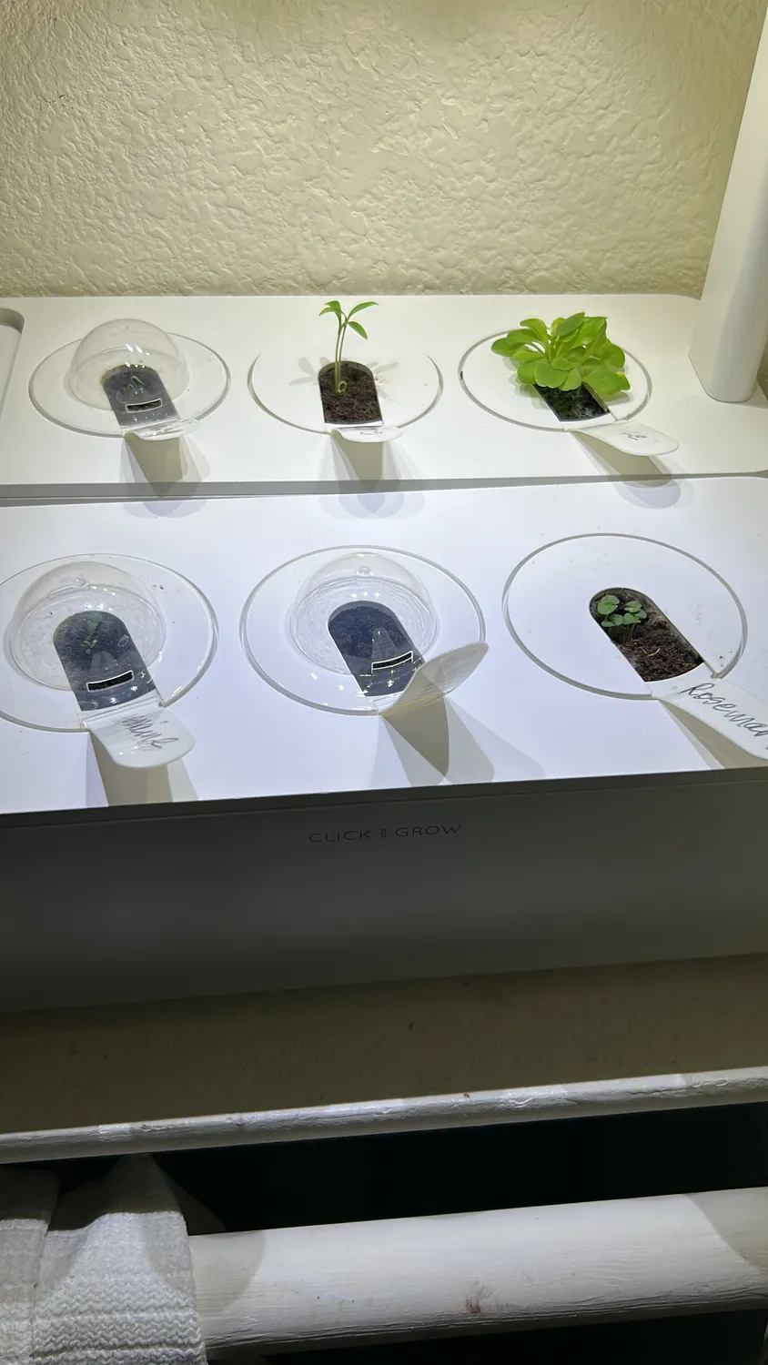 Click and Grow Smart Garden ποτηράκια 3 τεμ πλαστικά
