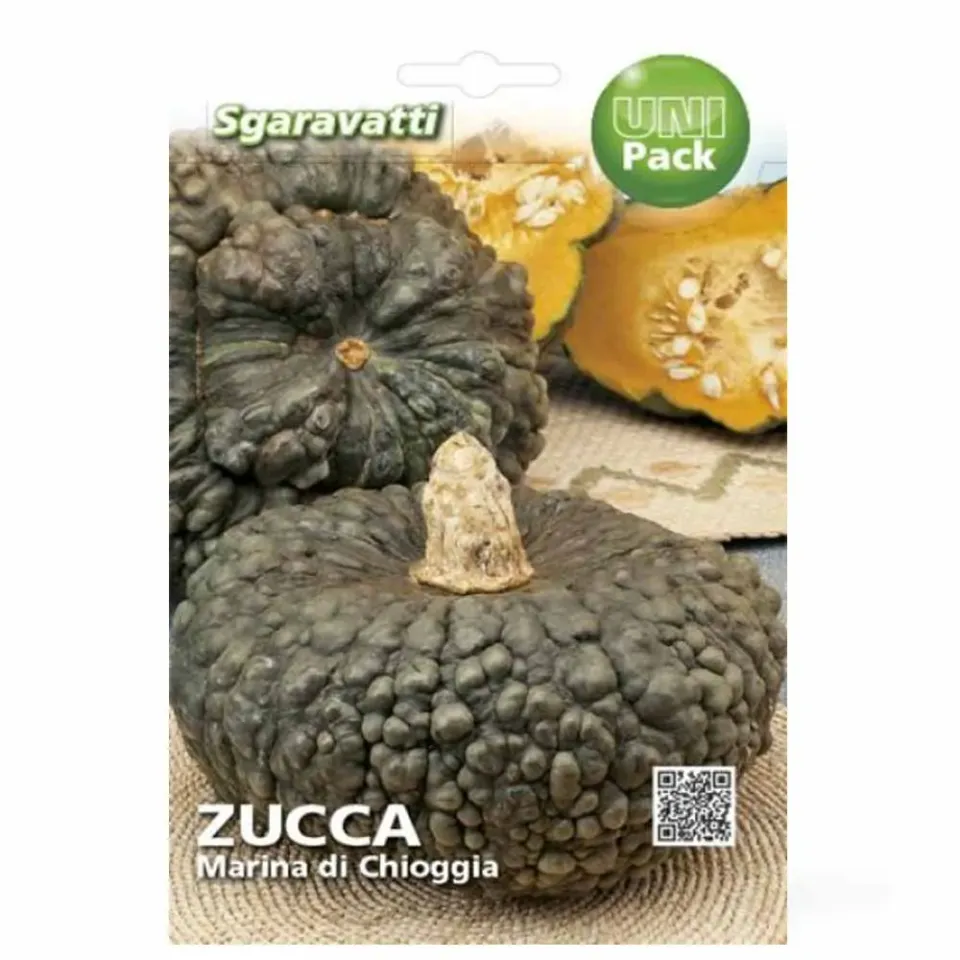 MyAgroMarket Marina Di Chioggia Σπόροι Κολοκύθας 3-5 σπόροι