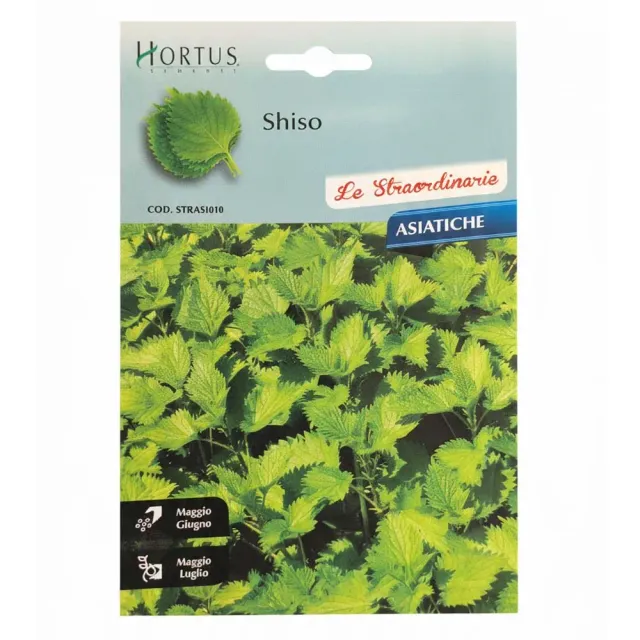 MyAgroMarket Shiso σπόροι 3gr ιαπωνικός βασιλικός