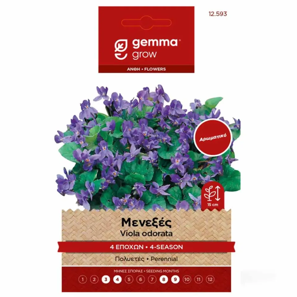 MyAgroMarket Μενεξές 4 Εποχών Σπόροι 0,2gr Αρωματικός
