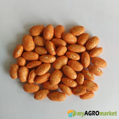 MyAgroMarket Capitano φασόλι κίτρινο σπόροι 30gr