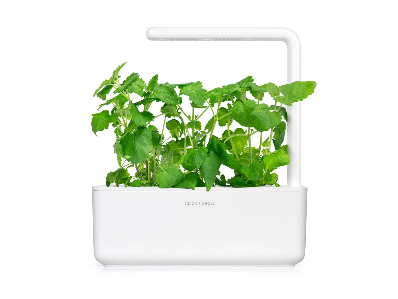 Click and Grow Catnip κάψουλες φυτών 3 τεμ για γάτες