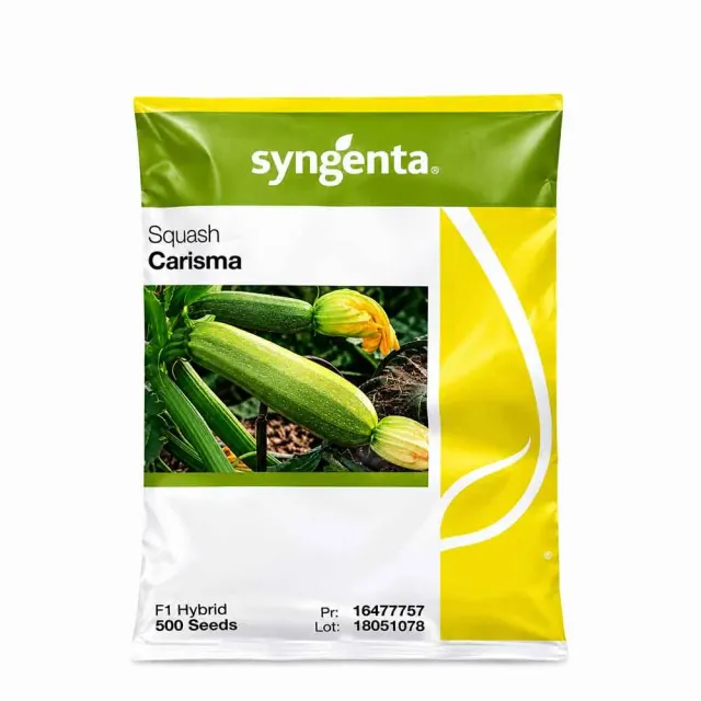 MyAgroMarket Carisma F1 σπόροι κολοκυθιού 500 τεμ υπαίθριο