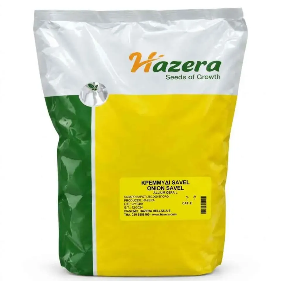 Hazera Savel σπόροι χλωρού κρεμμυδιού 250.000