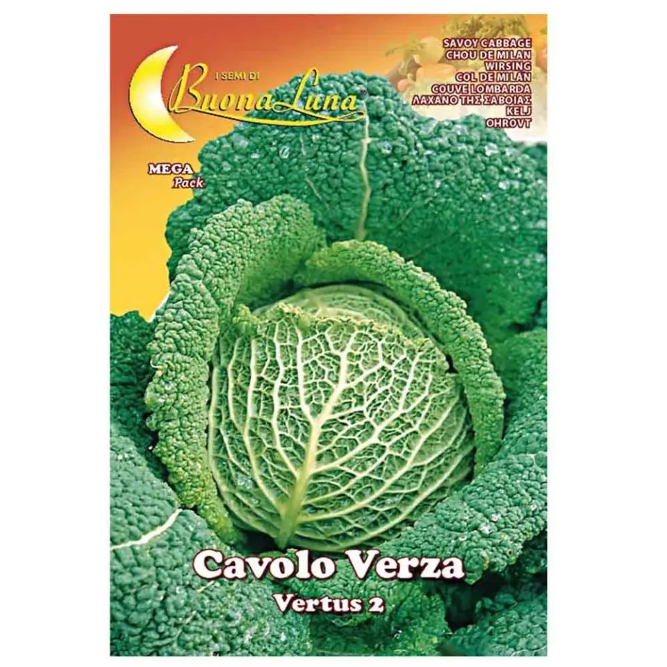 MyAgroMarket Savoy σπόροι λάχανου 2gr σγουροί