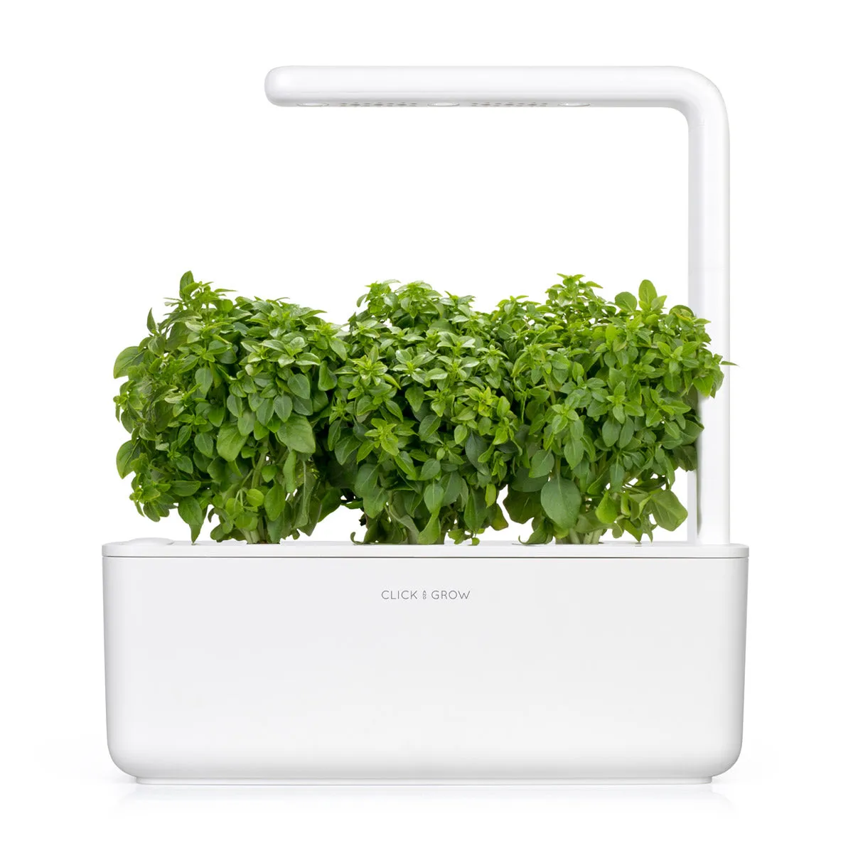 Click and Grow Greek Basil κάψουλες 3-pack συμπαγές