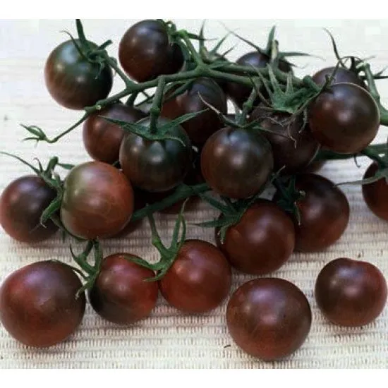 MyAgroMarket Black Cherry σπόροι τοματίνι 20 σπόροι