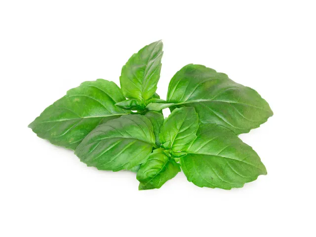 Click and Grow Marseille Basil κάψουλες φυτών 3 τεμ αρωματικός