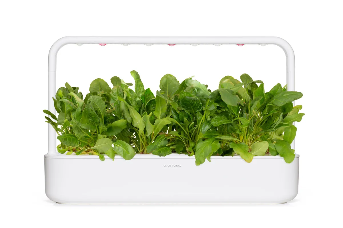 Click and Grow Green Chard κάψουλες φυτών 9-pack θρεπτικό