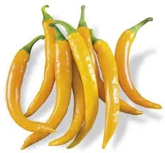 MyAgroMarket Paprica Giallo πιπεριά σπόροι 0,12gr