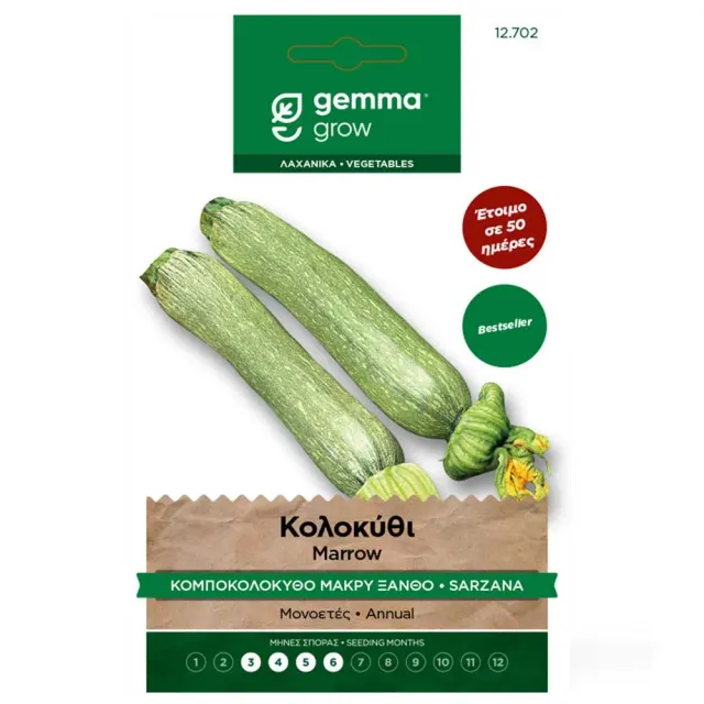 MyAgroMarket μακρύ ξανθό σπόροι κολοκυθιού 4gr ανοιχτοπράσινοι
