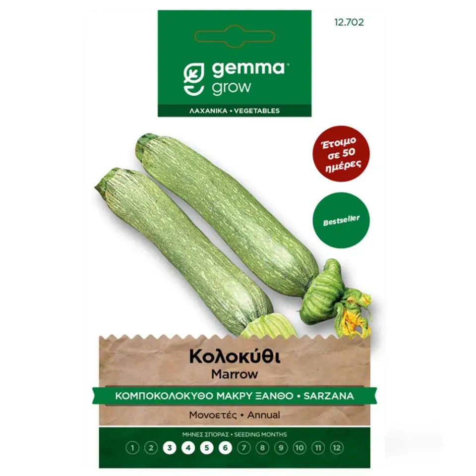 MyAgroMarket μακρύ ξανθό σπόροι κολοκυθιού 4gr ανοιχτοπράσινοι
