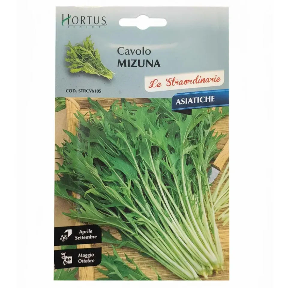MyAgroMarket Mizuna σπόροι ιαπωνική μουστάρδα 10gr