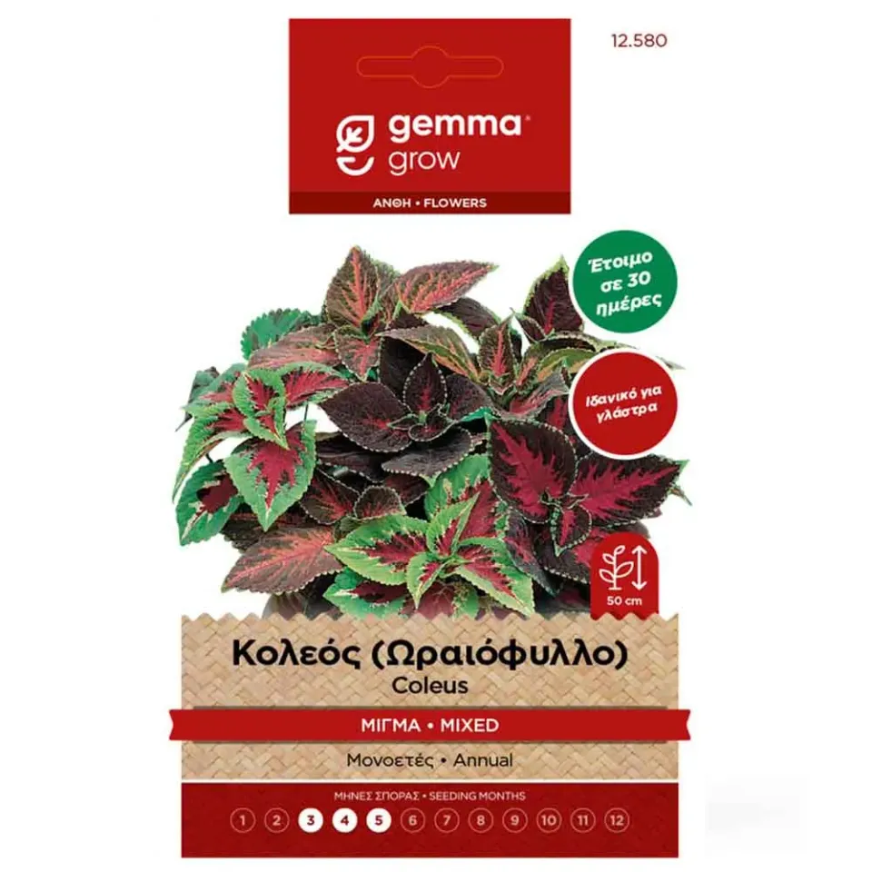 MyAgroMarket Κολεός Ωραιόφυλλο σπόροι 0,2gr μίγμα