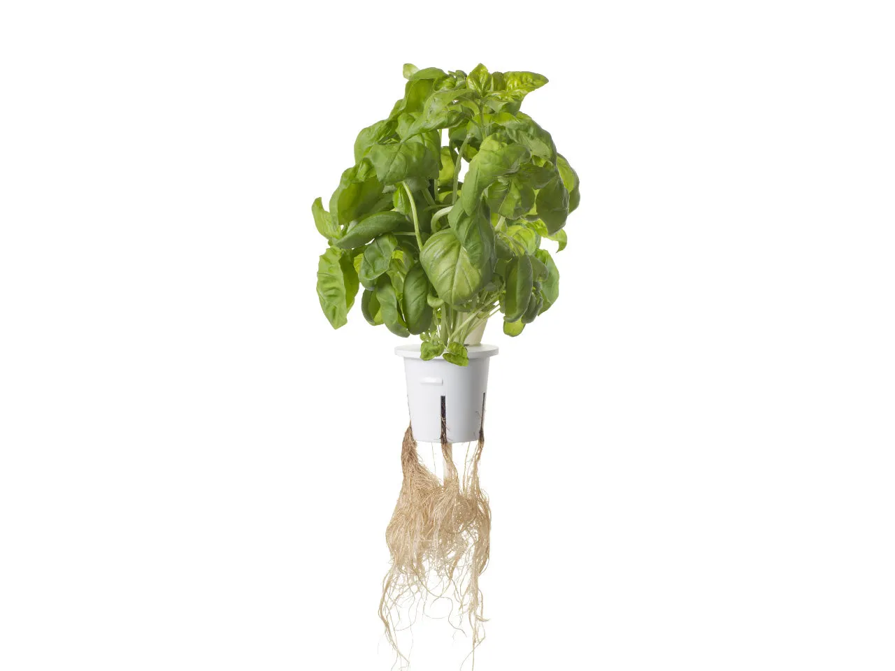 Click and Grow Pro Cups γλαστράκια διάτρητα 9 τεμ ενισχυμένα