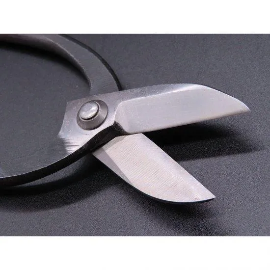 Tanabe Ikenobou χειροποίητο ψαλίδι λουλουδιών 180mm