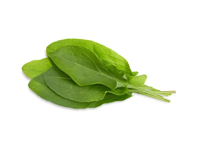 Click and Grow Λάπαθο Πράσινο κάψουλες 3 τεμαχίων βρώσιμο