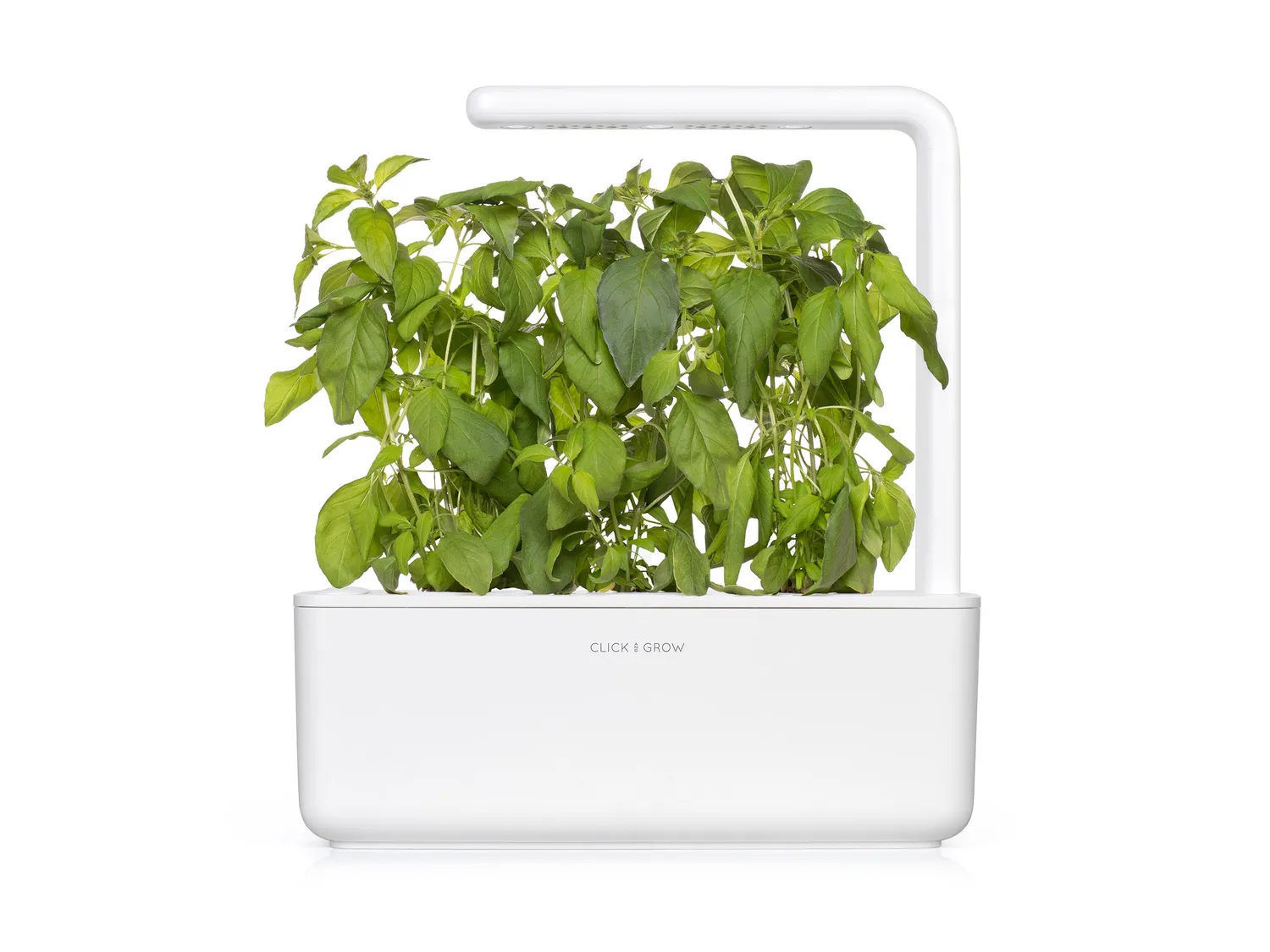 Click and Grow Lime Basil κάψουλες βοτάνου 3-pack citrus