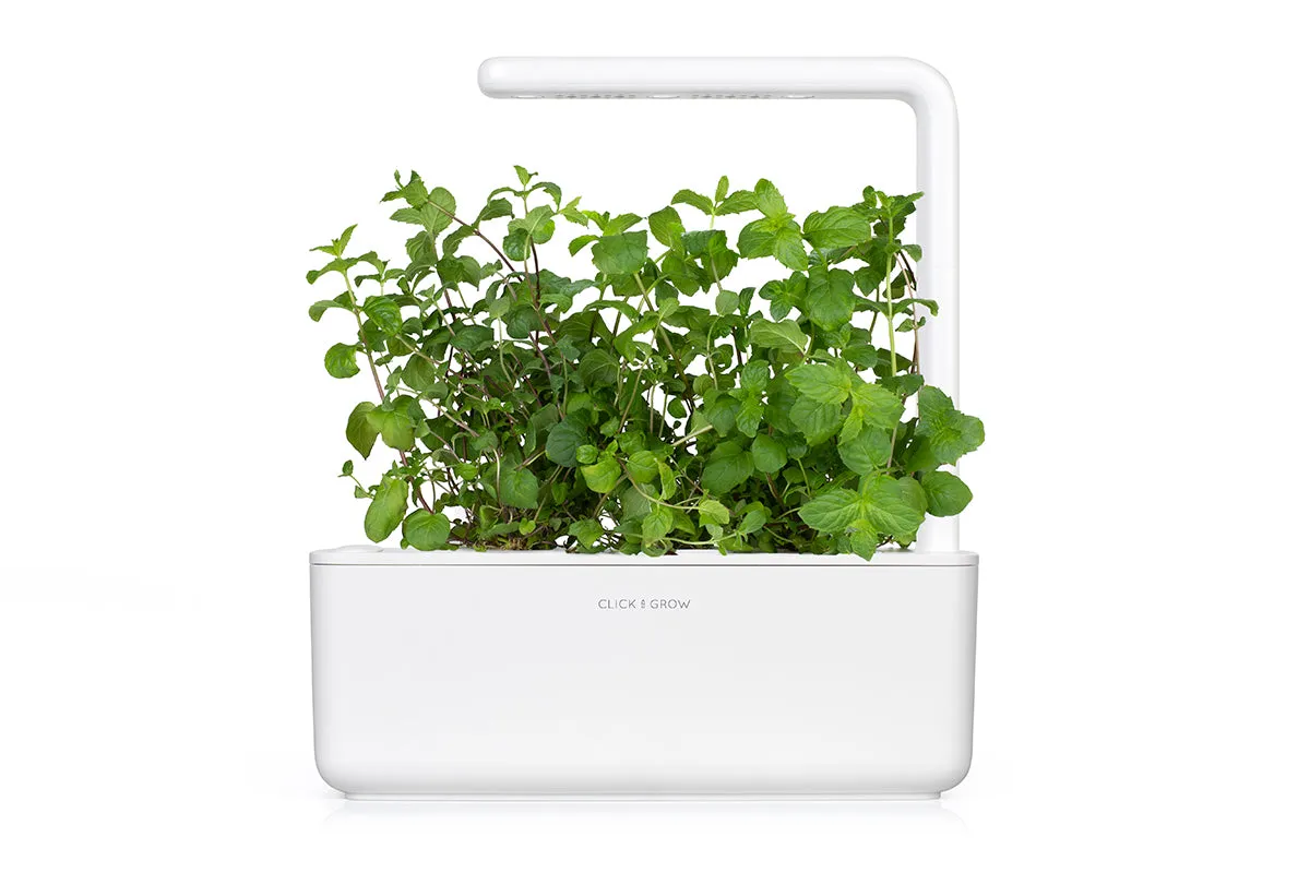 Click and Grow Peppermint κάψουλες δυόσμου 3 τεμ