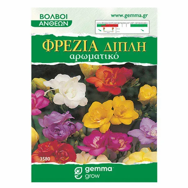 MyAgroMarket Φρέζια Διπλή Μίγμα βολβοί 6 τεμ αρωματική