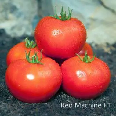 MyAgroMarket Τομάτα Red Machine F1 σπόροι 10 τεμ