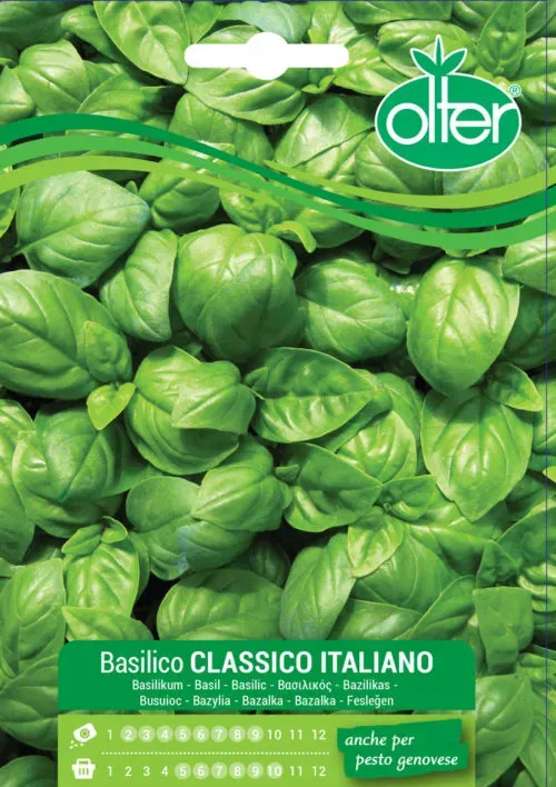 Olter Classico Italiano σπόρος βασιλικού για γλάστρα