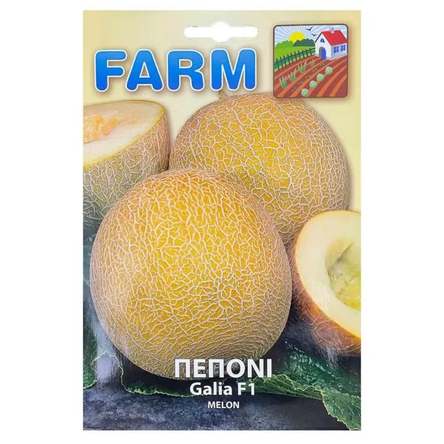 MyAgroMarket Πεπόνι Galia F1 1gr πρώιμο υβρίδιο