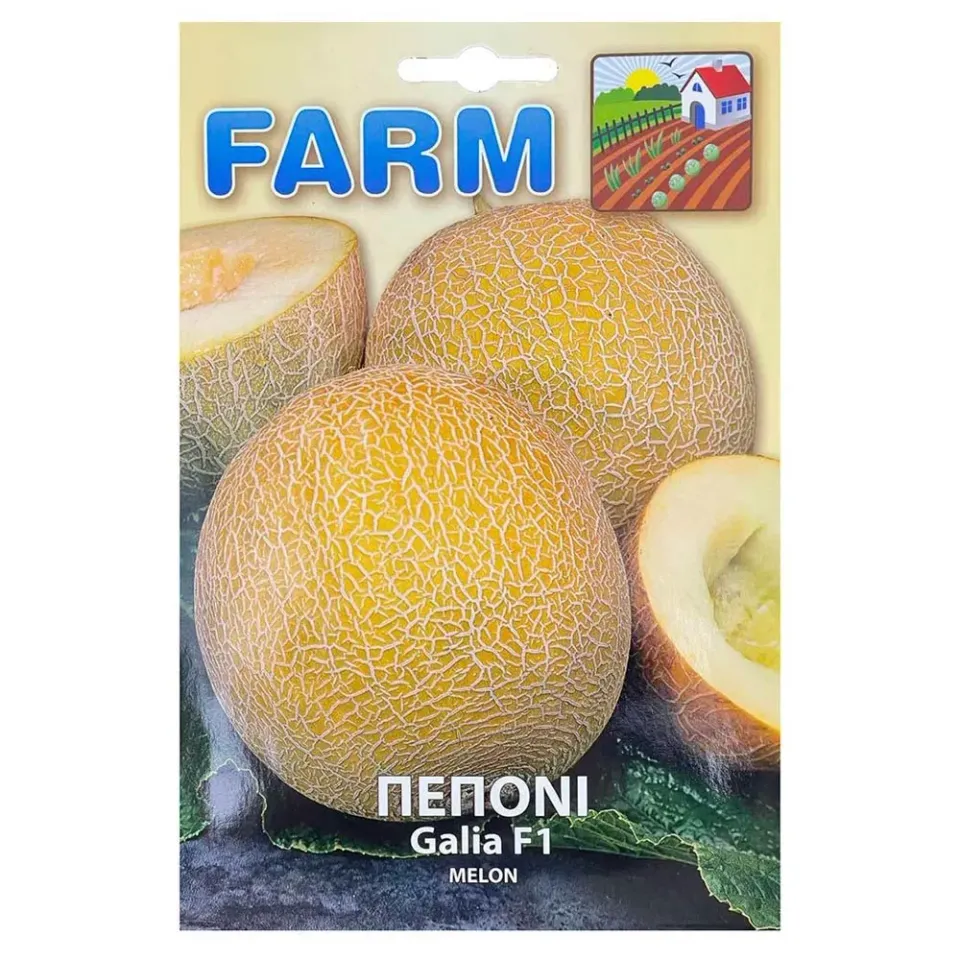 MyAgroMarket Πεπόνι Galia F1 1gr πρώιμο υβρίδιο
