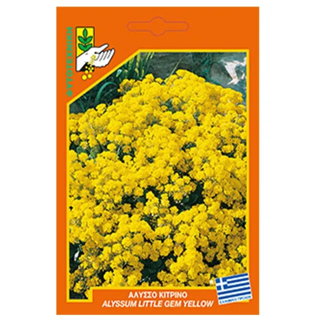 MyAgroMarket Άλυσσο κίτρινο σπόροι μπορντούρα χαμηλό