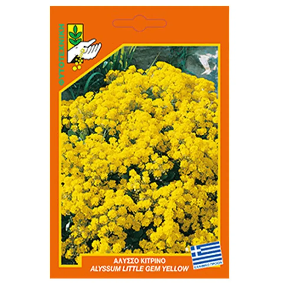 MyAgroMarket Άλυσσο κίτρινο σπόροι μπορντούρα χαμηλό