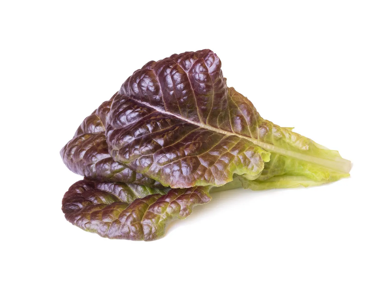 Click and Grow Red Lettuce κάψουλες 30 τεμ κόκκινο μαρούλι