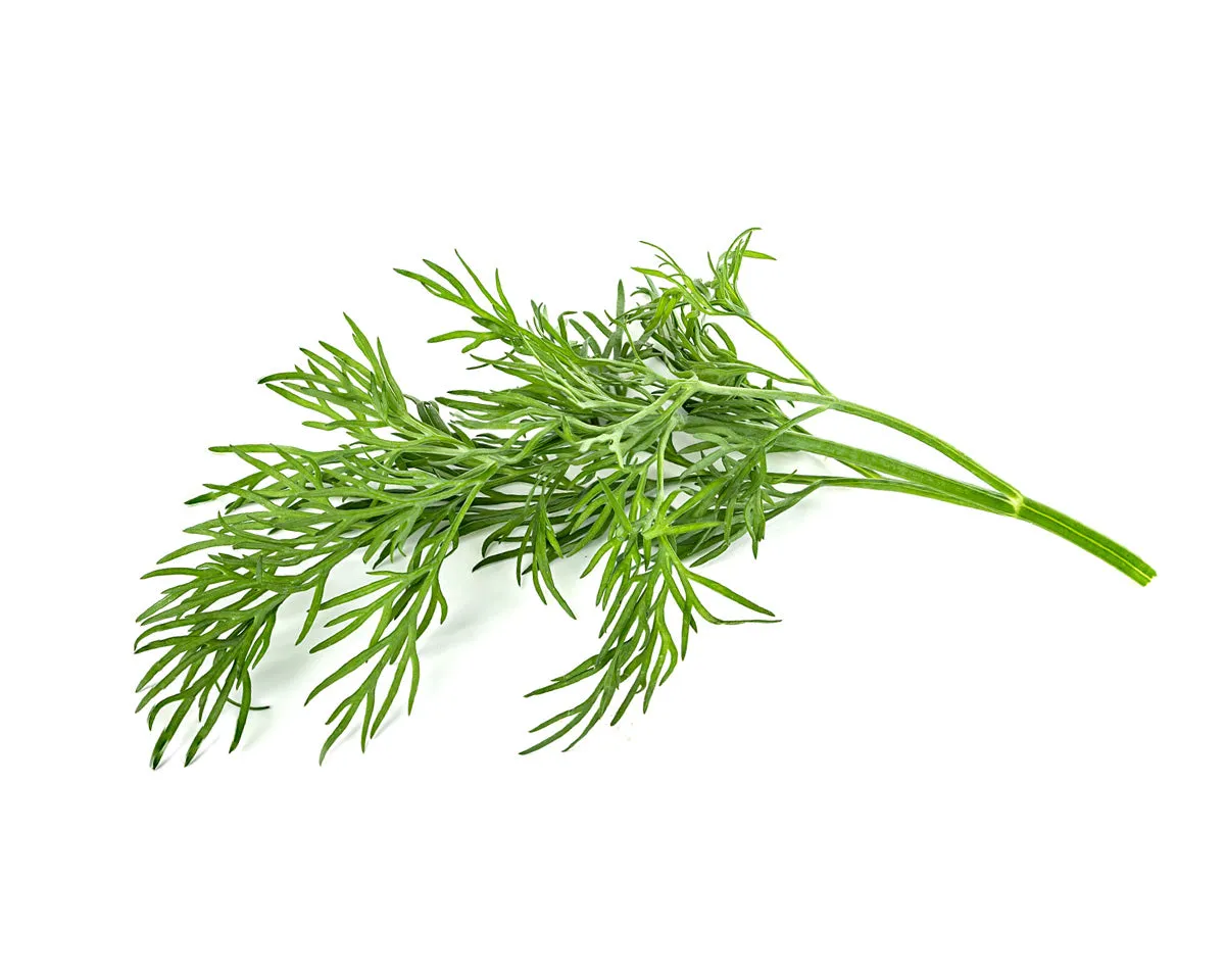 Click and Grow Dill κάψουλες φυτών 9 τεμ μυρωδικό