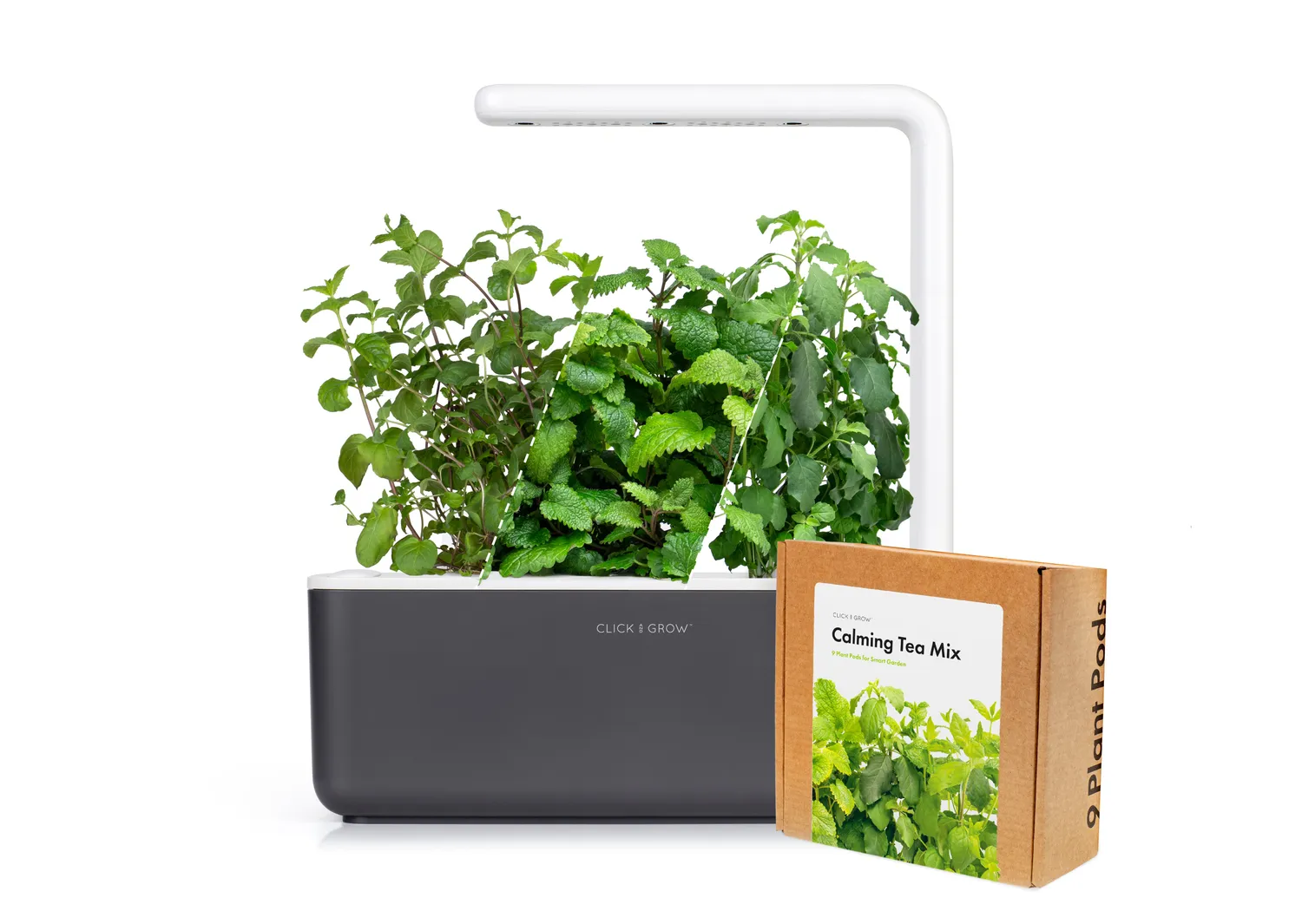 Click and Grow Smart Garden 3 kit τσαγιού λευκό