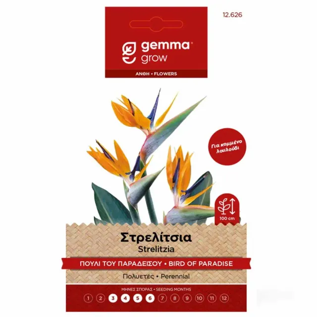 MyAgroMarket Στρελίτσια Πουλί Παραδείσου Σπόροι 0,1gr