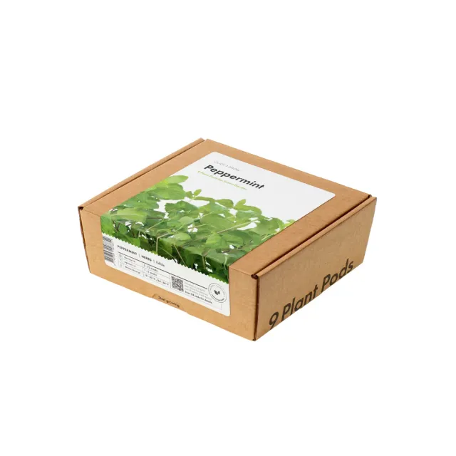 Click and Grow Peppermint κάψουλες βοτάνου 9-pack δροσερό