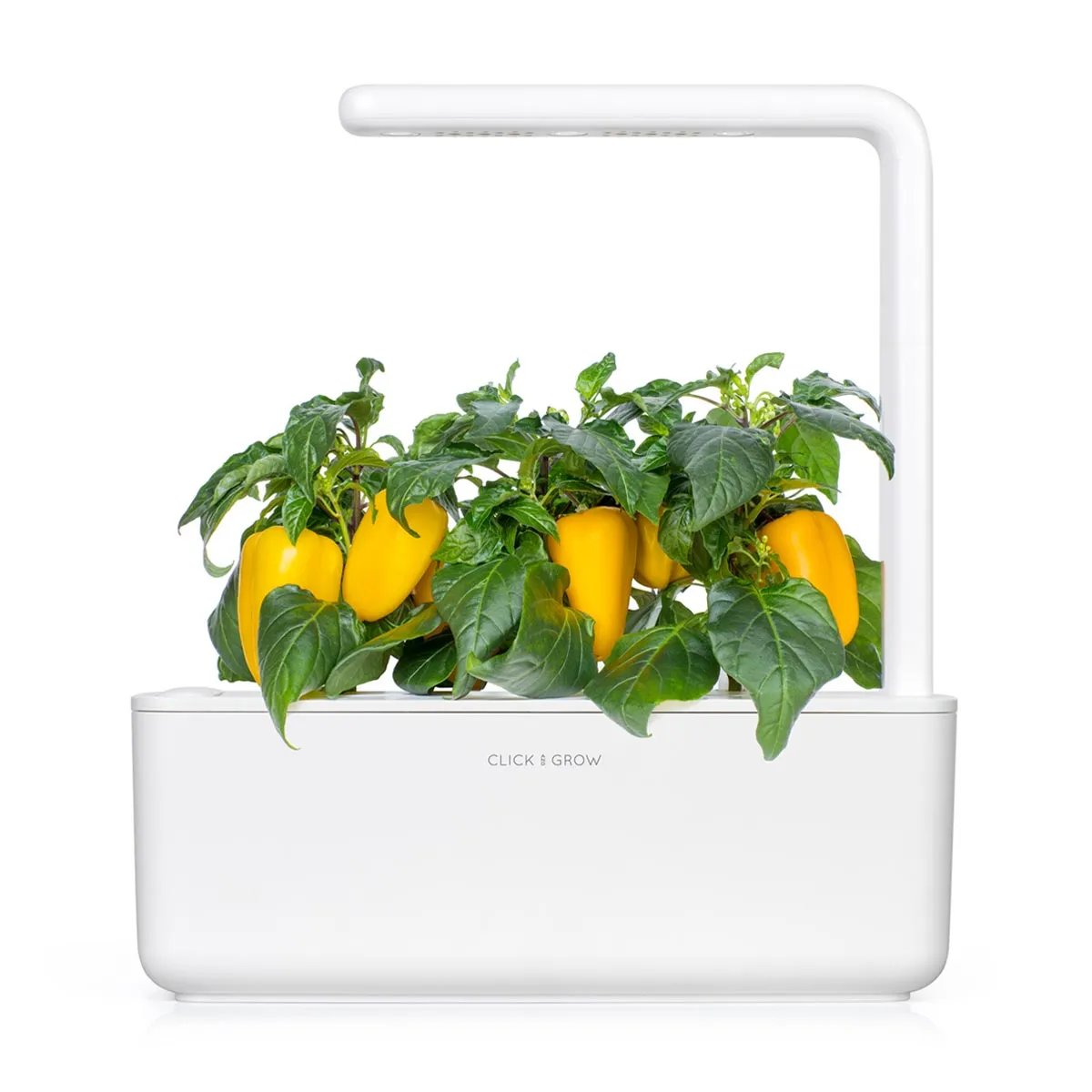 Click and Grow Yellow Sweet Pepper κάψουλες 3 τεμ γλυκιά